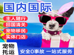 菏泽牡丹空运地址国际宠物托运 【国
